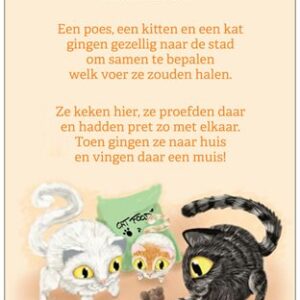 Kattenvoer