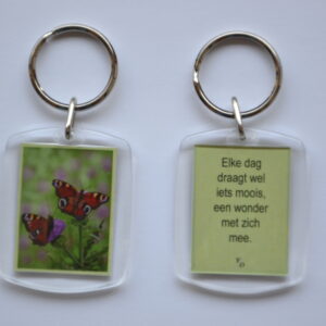 Een wonder - Vlinders