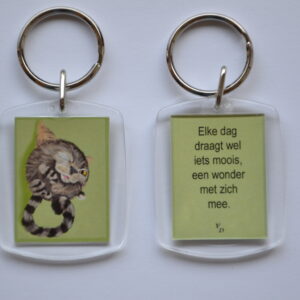 Een wonder - Furballkitten 'Knipoog'