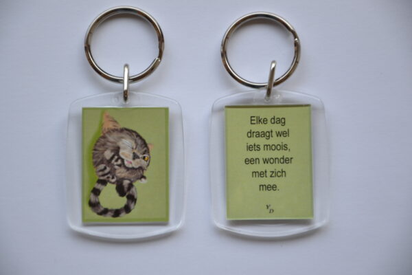 Een wonder - Furballkitten 'Knipoog'