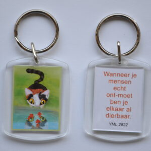 Ontmoet - Furballkitten 'Visjes'