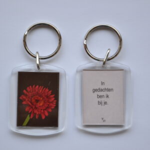 Bij je - Gerbera