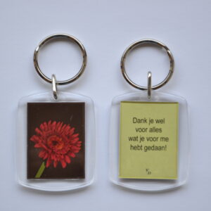 Dank je wel - Gerbera